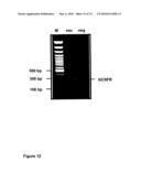 METHODS OF TREATING NEUROLOGICAL CONDITIONS WITH HEMATOPOEITIC GROWTH FACTORS diagram and image