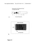 METHODS OF TREATING NEUROLOGICAL CONDITIONS WITH HEMATOPOEITIC GROWTH FACTORS diagram and image