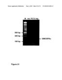 METHODS OF TREATING NEUROLOGICAL CONDITIONS WITH HEMATOPOEITIC GROWTH FACTORS diagram and image