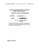 METHODS OF TREATING NEUROLOGICAL CONDITIONS WITH HEMATOPOEITIC GROWTH FACTORS diagram and image