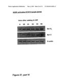 METHODS OF TREATING NEUROLOGICAL CONDITIONS WITH HEMATOPOEITIC GROWTH FACTORS diagram and image