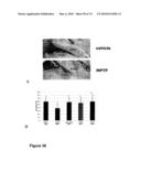 METHODS OF TREATING NEUROLOGICAL CONDITIONS WITH HEMATOPOEITIC GROWTH FACTORS diagram and image