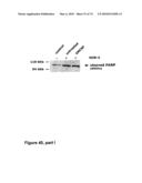 METHODS OF TREATING NEUROLOGICAL CONDITIONS WITH HEMATOPOEITIC GROWTH FACTORS diagram and image