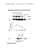 METHODS OF TREATING NEUROLOGICAL CONDITIONS WITH HEMATOPOEITIC GROWTH FACTORS diagram and image