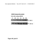 METHODS OF TREATING NEUROLOGICAL CONDITIONS WITH HEMATOPOEITIC GROWTH FACTORS diagram and image