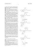 Monophosphates as Mutual Prodrugs of Muscarinic Receptor Antagonists and Beta-Agonists for the Treatment of COPD And Chronic Bronchitis diagram and image