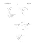 Monophosphates as Mutual Prodrugs of Muscarinic Receptor Antagonists and Beta-Agonists for the Treatment of COPD And Chronic Bronchitis diagram and image