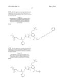 Monophosphates as Mutual Prodrugs of Muscarinic Receptor Antagonists and Beta-Agonists for the Treatment of COPD And Chronic Bronchitis diagram and image