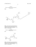 Monophosphates as Mutual Prodrugs of Muscarinic Receptor Antagonists and Beta-Agonists for the Treatment of COPD And Chronic Bronchitis diagram and image
