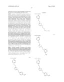 WATER-DEVELOPABLE PHOTOSENSITIVE LITHOGRAPHIC PRINTING PLATE MATERIAL diagram and image