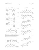 WATER-DEVELOPABLE PHOTOSENSITIVE LITHOGRAPHIC PRINTING PLATE MATERIAL diagram and image