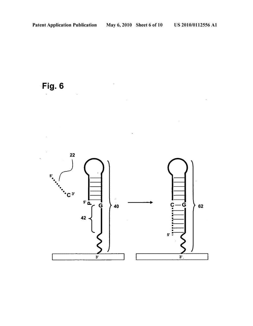 METHOD FOR SAMPLE ANALYSIS USING Q PROBES - diagram, schematic, and image 07