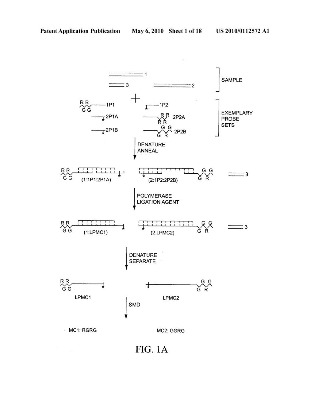 COMPOSITIONS, METHODS, AND KITS FOR FABRICATING CODED MOLECULAR TAGS - diagram, schematic, and image 02