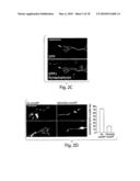 Methods and compositions for modulating synapse formation diagram and image