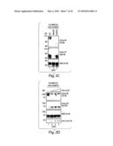 Methods and compositions for modulating synapse formation diagram and image