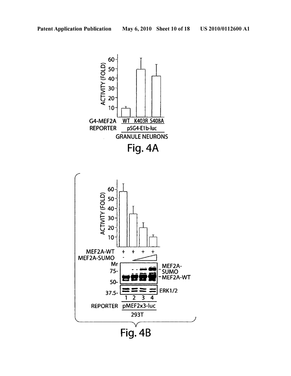 Methods and compositions for modulating synapse formation - diagram, schematic, and image 11