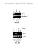 Methods and compositions for modulating synapse formation diagram and image