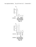 Methods and compositions for modulating synapse formation diagram and image