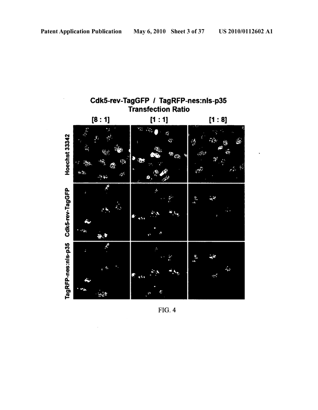 Protein-Protein Interaction Biosensors and Methods of Use Thereof - diagram, schematic, and image 04