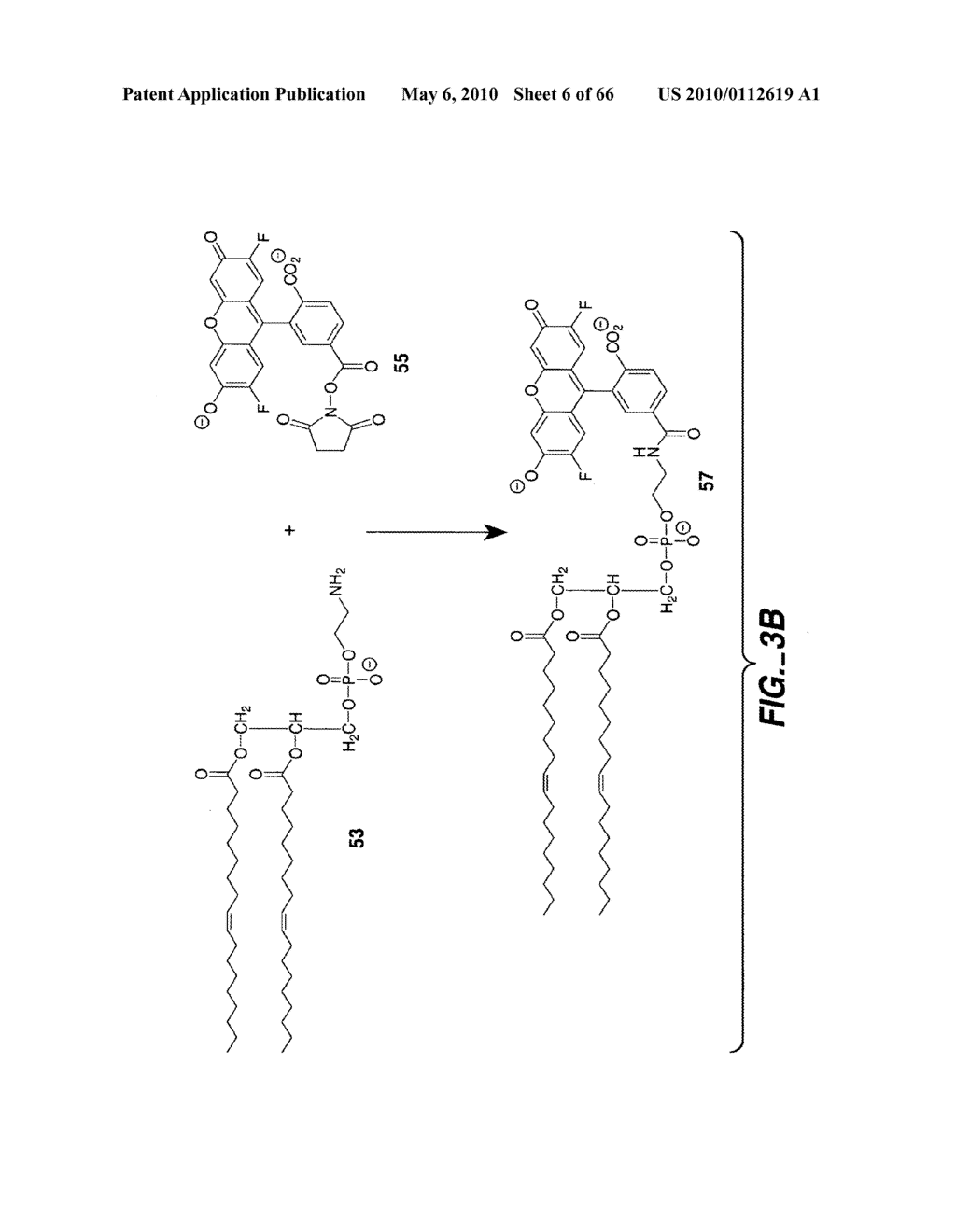 LIGAND-CONTAINING MICELLES AND USES THEREOF - diagram, schematic, and image 07