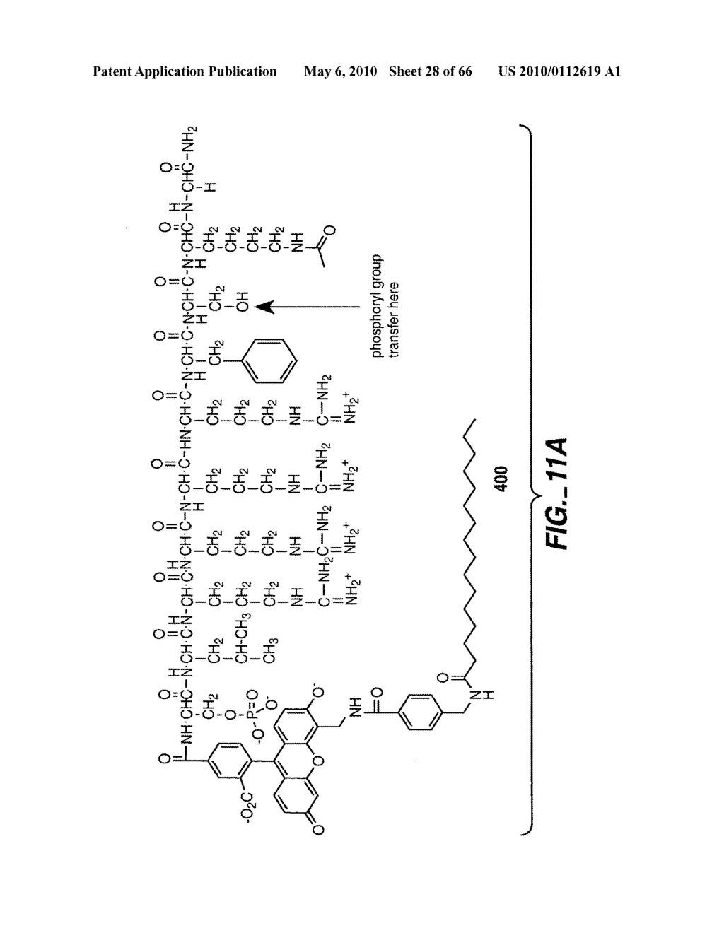 LIGAND-CONTAINING MICELLES AND USES THEREOF - diagram, schematic, and image 29