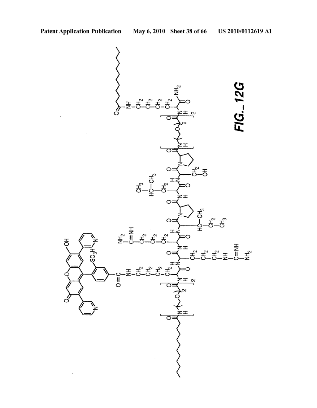 LIGAND-CONTAINING MICELLES AND USES THEREOF - diagram, schematic, and image 39