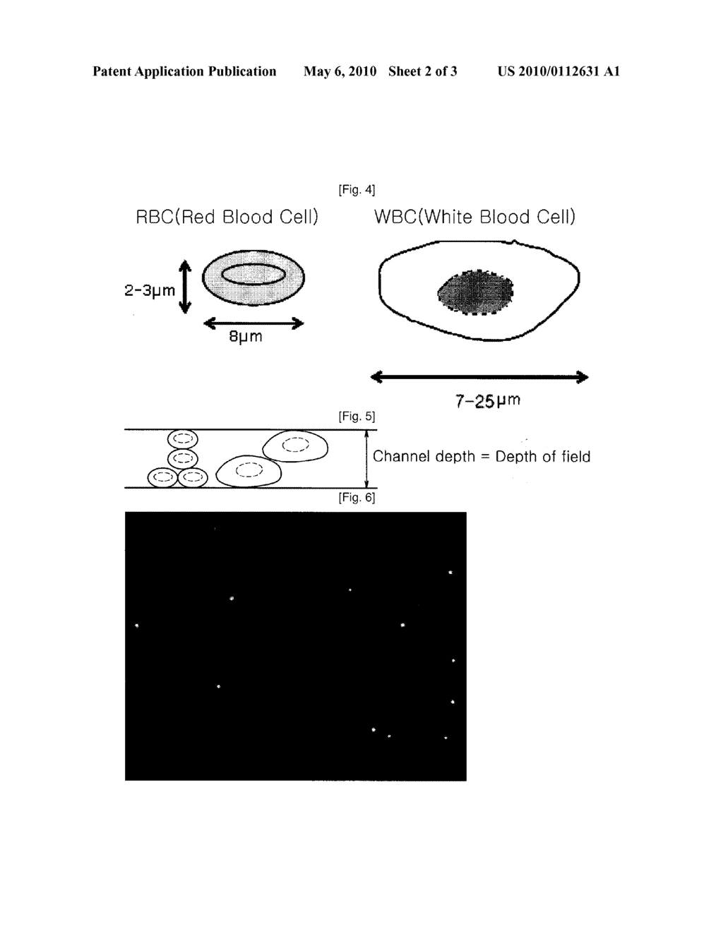 Chip Having Microchannel For Counting Specific Micro Particles Among Floating Micro Particle Mixture By Optical Means And A Method For Counting Micro Particles Using The Same - diagram, schematic, and image 03