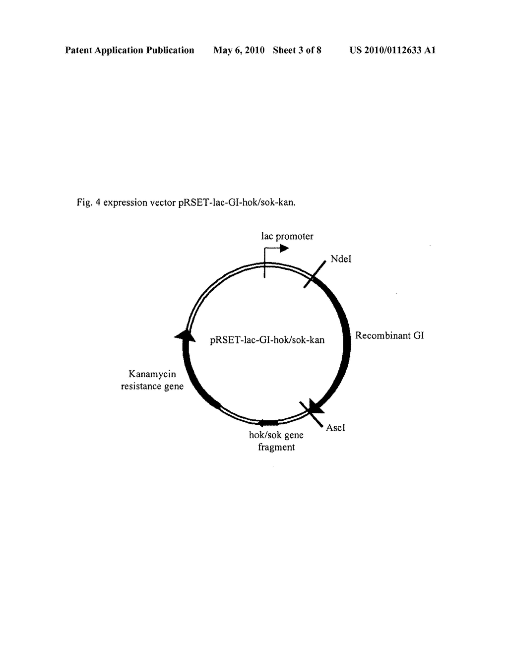 Two-Step Enzyme Method for Preparing 7-Aminocephalosporanic Acid - diagram, schematic, and image 04