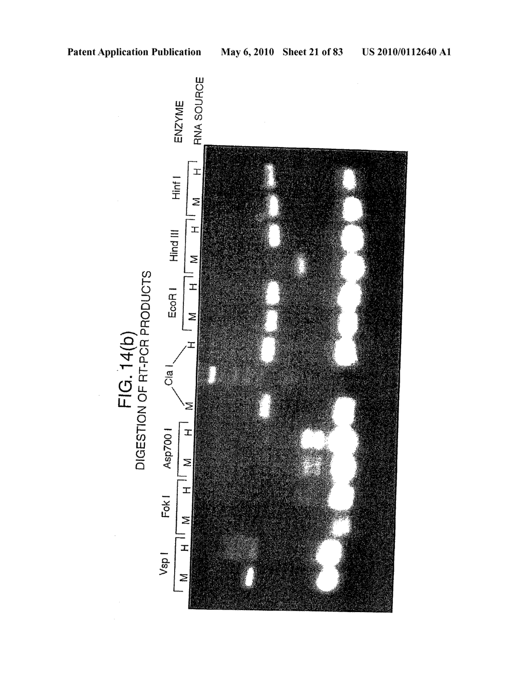 POLYNUCLEOTIDE - diagram, schematic, and image 22