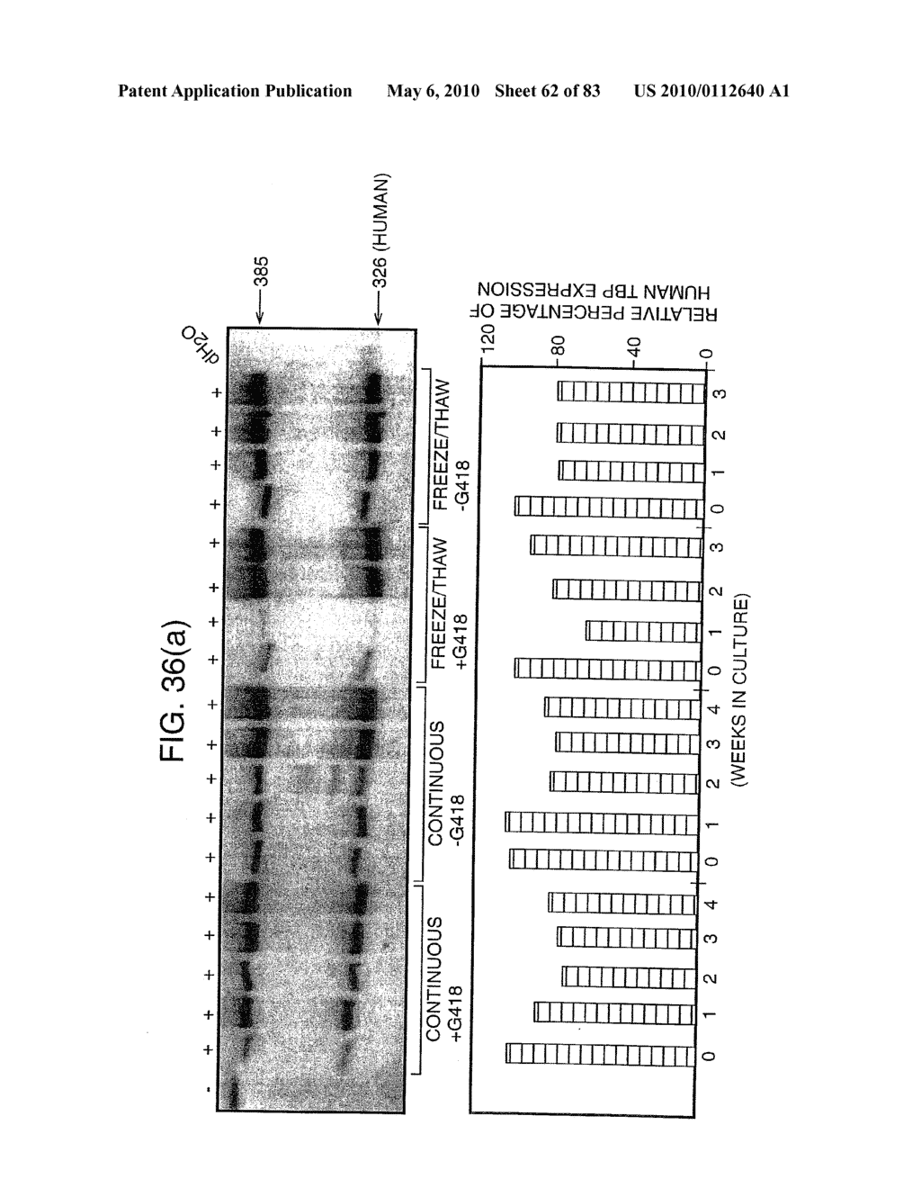 POLYNUCLEOTIDE - diagram, schematic, and image 63