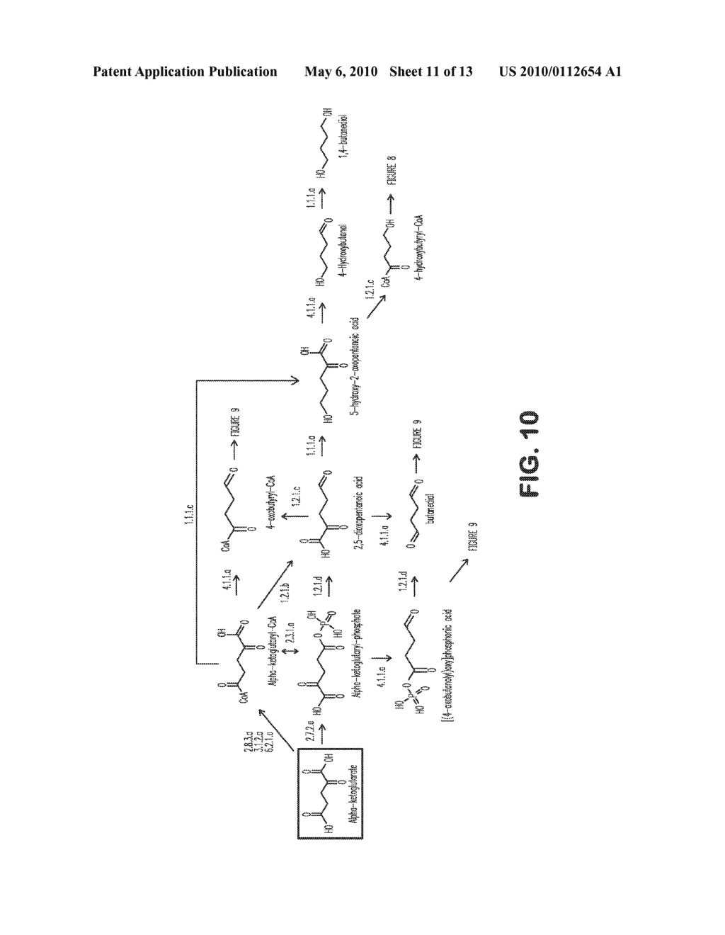 MICROORGANISMS FOR THE PRODUCTION OF 1,4-BUTANEDIOL - diagram, schematic, and image 12