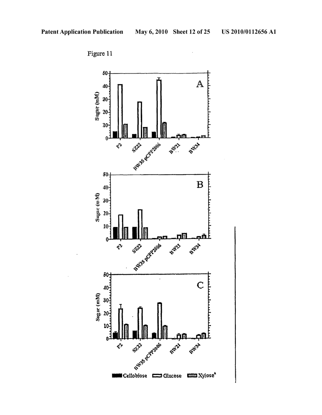 RE-ENGINEERING BACTERIA FOR ETHANOL PRODUCTION - diagram, schematic, and image 13