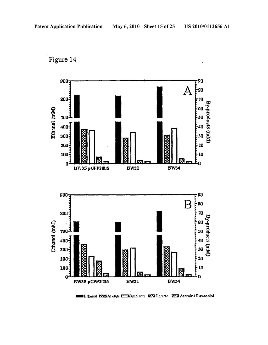 RE-ENGINEERING BACTERIA FOR ETHANOL PRODUCTION - diagram, schematic, and image 16