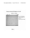 Method for Derivatization of Proteins Using Hydrostatic Pressure diagram and image