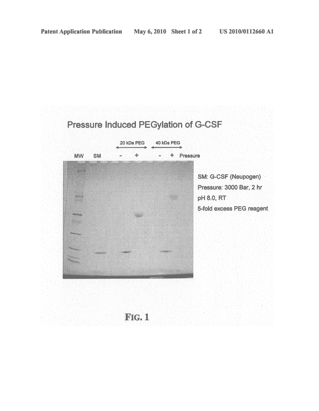 Method for Derivatization of Proteins Using Hydrostatic Pressure - diagram, schematic, and image 02
