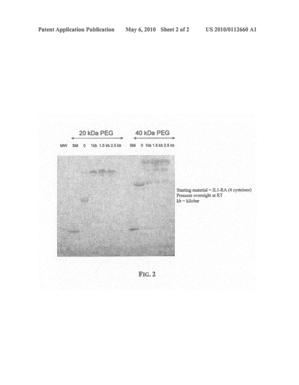 Method for Derivatization of Proteins Using Hydrostatic Pressure - diagram, schematic, and image 03