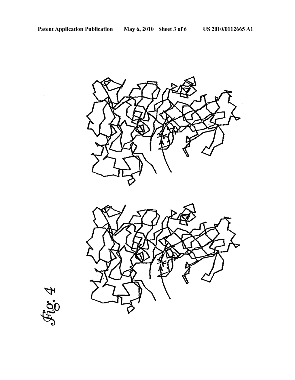 Crystallization and Structure Determination of Glycosylated Human Beta Secretase, an Enzyme Implicated in Alzheimer's Disease - diagram, schematic, and image 04