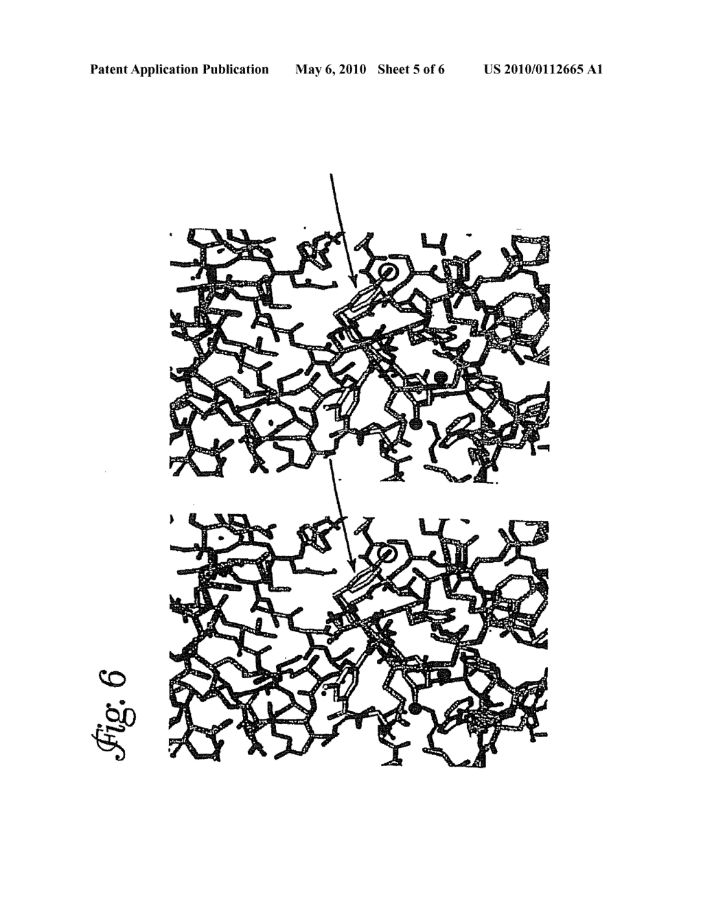 Crystallization and Structure Determination of Glycosylated Human Beta Secretase, an Enzyme Implicated in Alzheimer's Disease - diagram, schematic, and image 06