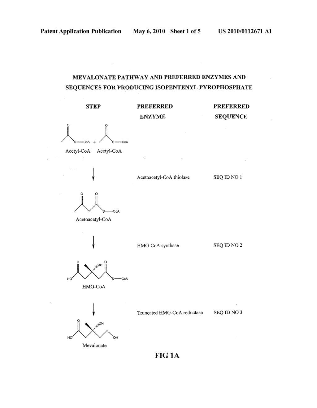 Host Cells for Production of Isoprenoid Compounds - diagram, schematic, and image 02