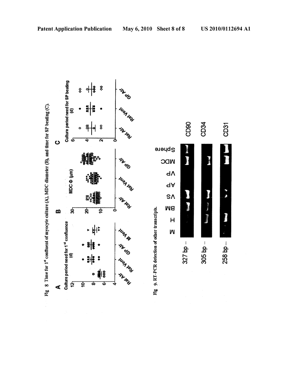 Dedifferentiation of Adult Mammalian Cardiomyocytes into Cardiac Stem Cells - diagram, schematic, and image 09