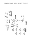 METHOD FOR ANALYZING STRUCTURE AND PURITY OF SEROTONIN TRANSPORTER IMAGING AGENT [123I] ADAM AND PRECURSOR SnADAM diagram and image