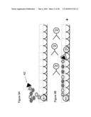 METHODS AND COMPUTER SYSTEMS FOR IDENTIFYING TARGET-SPECIFIC SEQUENCES FOR USE IN NANOREPORTERS diagram and image