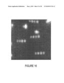 METHODS AND COMPUTER SYSTEMS FOR IDENTIFYING TARGET-SPECIFIC SEQUENCES FOR USE IN NANOREPORTERS diagram and image