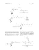 METHOD OF DETECTING AMPLIFICATION OR DELETION IN GENOMIC DNA FRAGMENT diagram and image