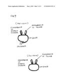 Racket grip aid diagram and image