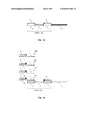 MASSIVELY MULTIPLEXED SEQUENCING diagram and image