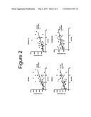 SYSTEMIC LUPUS ERYTHEMATOSUS DIAGNOSTIC ASSAY diagram and image