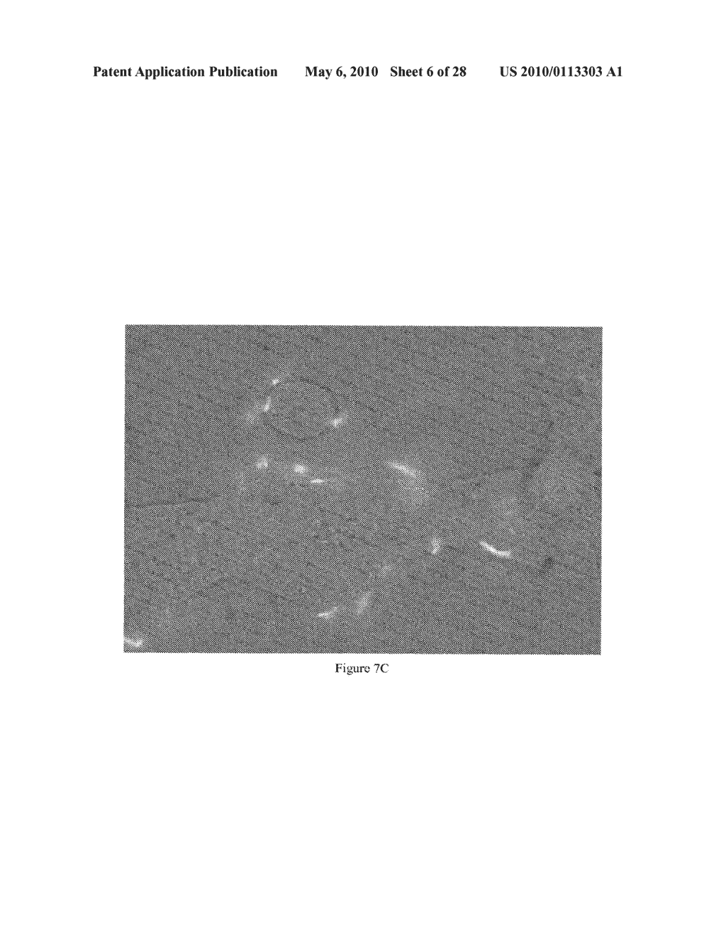 Polypeptide Display Libraries and Methods of Making and Using Thereof - diagram, schematic, and image 07