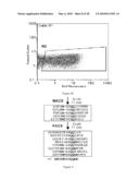 Polypeptide Display Libraries and Methods of Making and Using Thereof diagram and image