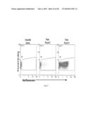 Polypeptide Display Libraries and Methods of Making and Using Thereof diagram and image